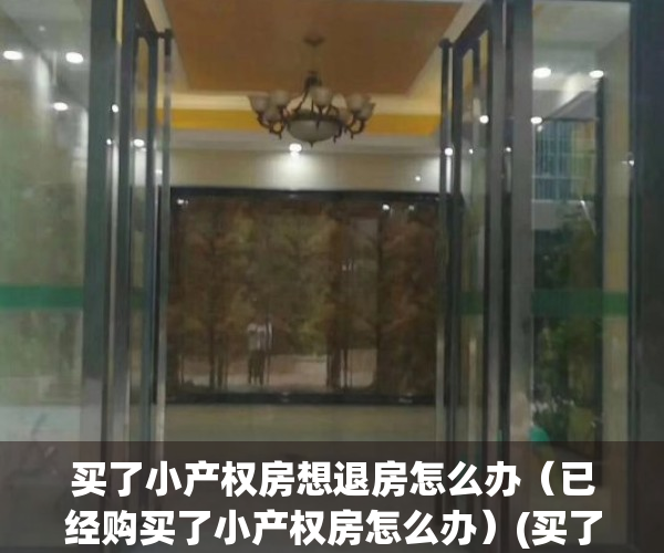 买了小产权房想退房怎么办（已经购买了小产权房怎么办）(买了小产权房怎么办?)