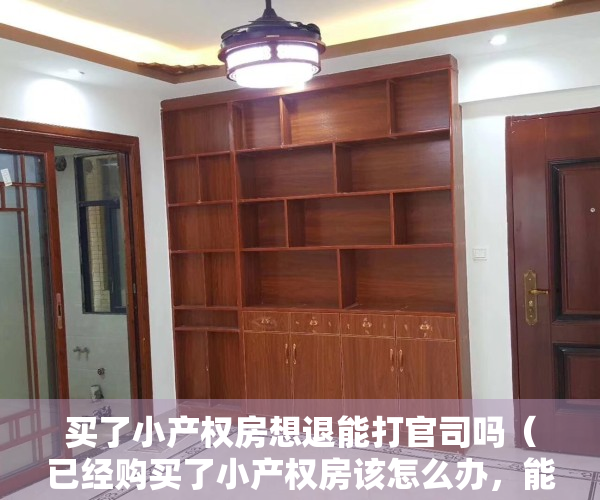 买了小产权房想退能打官司吗（已经购买了小产权房该怎么办，能退房吗？）