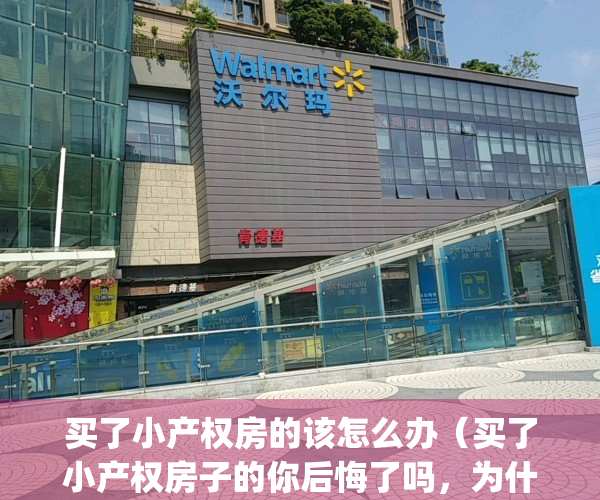 买了小产权房的该怎么办（买了小产权房子的你后悔了吗，为什么？）(买了小产权房会怎么样)