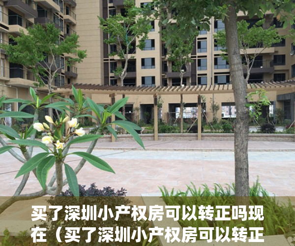 买了深圳小产权房可以转正吗现在（买了深圳小产权房可以转正吗）(深圳小产权房可以转红本吗)