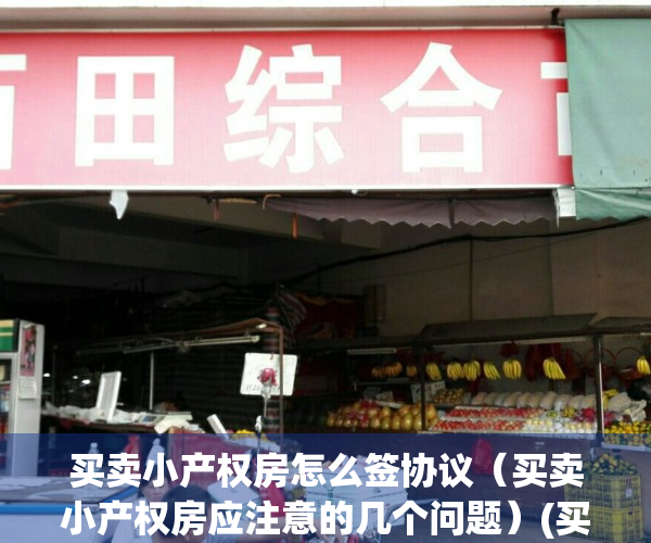买卖小产权房怎么签协议（买卖小产权房应注意的几个问题）(买卖小产权房子怎样写协议)