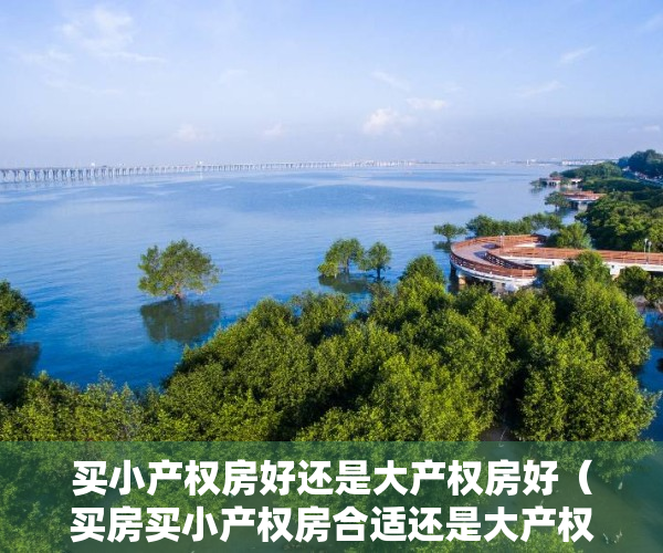买小产权房好还是大产权房好（买房买小产权房合适还是大产权房合适？内行分析完，终于懂了！）