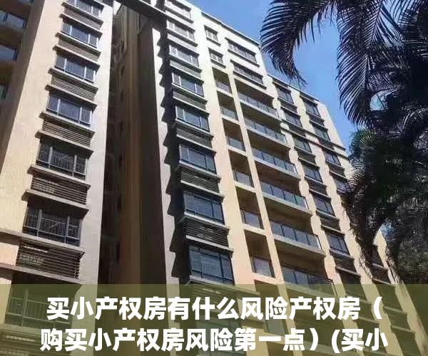 买小产权房有什么风险产权房（购买小产权房风险第一点）(买小产权有风险吗)