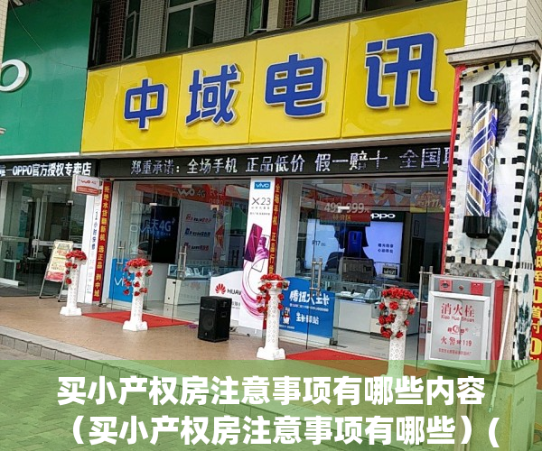 买小产权房注意事项有哪些内容（买小产权房注意事项有哪些）(买小产权房需要注意什么)
