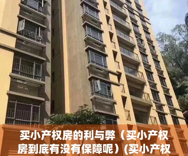 买小产权房的利与弊（买小产权房到底有没有保障呢）(买小产权房有什么坏处)