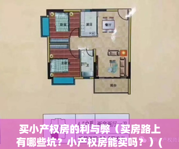 买小产权房的利与弊（买房路上有哪些坑？小产权房能买吗？）(买小产权房的利弊分析)