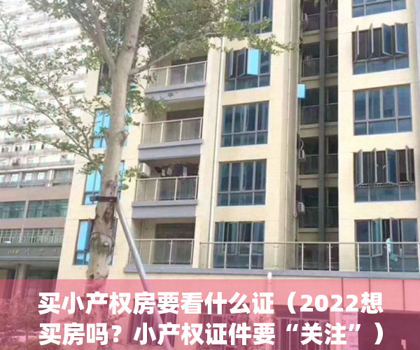 买小产权房要看什么证（2022想买房吗？小产权证件要“关注”）(买小产权房有哪些证件)