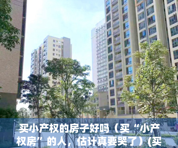 买小产权的房子好吗（买“小产权房”的人，估计真要哭了）(买小产权房有没有风险)