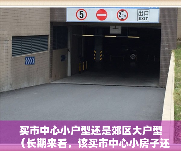 买市中心小户型还是郊区大户型（长期来看，该买市中心小房子还是郊区大房子）