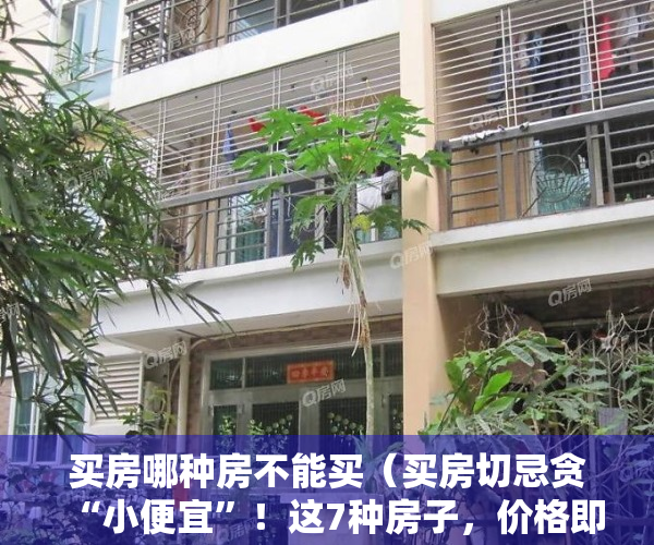 买房哪种房不能买（买房切忌贪“小便宜”！这7种房子，价格即使再便宜也不能买）