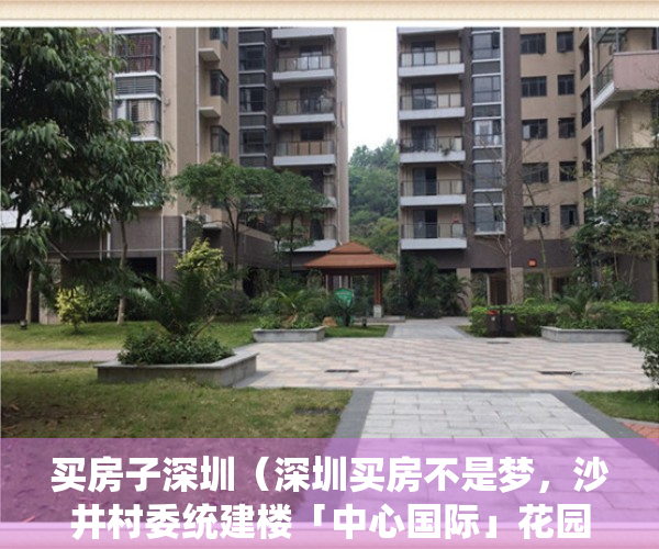 买房子深圳（深圳买房不是梦，沙井村委统建楼「中心国际」花园小区）