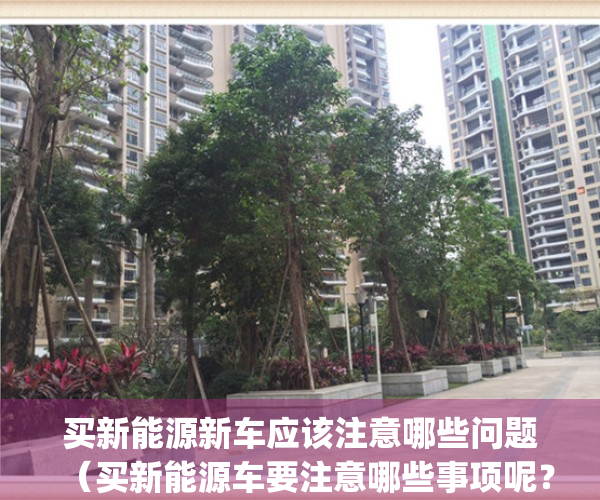买新能源新车应该注意哪些问题（买新能源车要注意哪些事项呢？）(买新能源车注意啥)