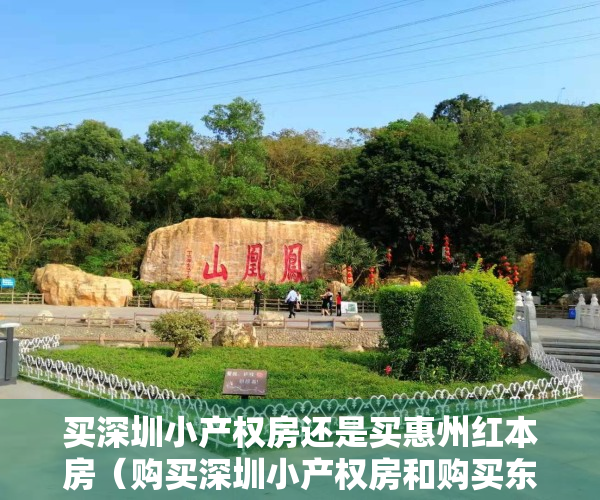 买深圳小产权房还是买惠州红本房（购买深圳小产权房和购买东莞以及惠州商品房，哪个更好更具优势呢？）