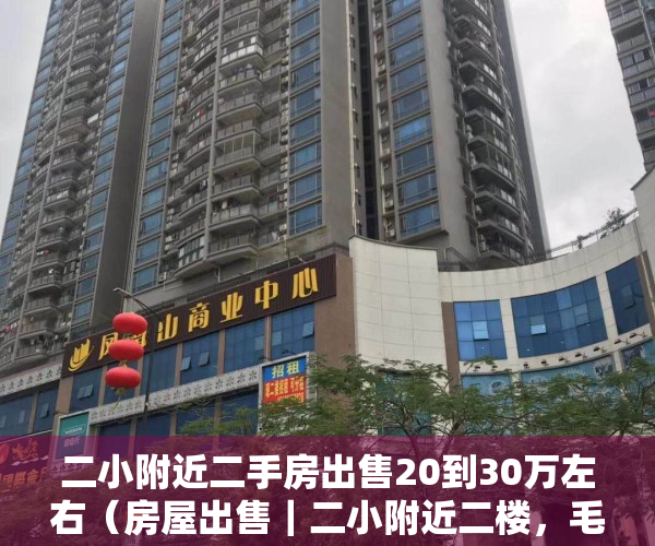 二小附近二手房出售20到30万左右（房屋出售｜二小附近二楼，毛坯房，170平，售4700元平！）