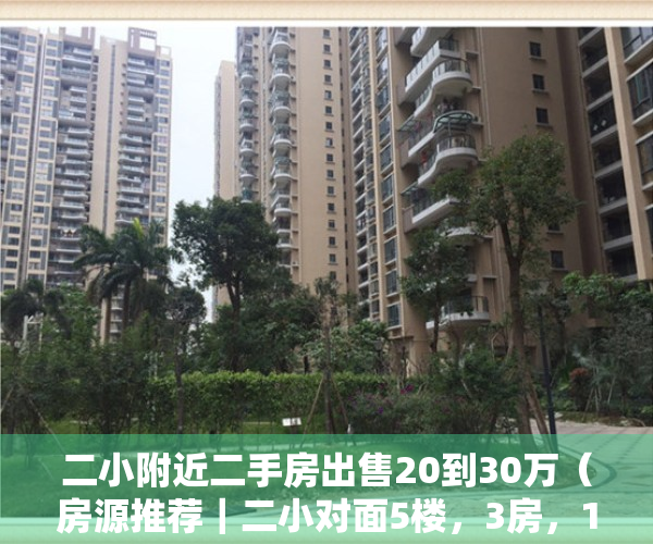 二小附近二手房出售20到30万（房源推荐｜二小对面5楼，3房，160平，4000元M²…）