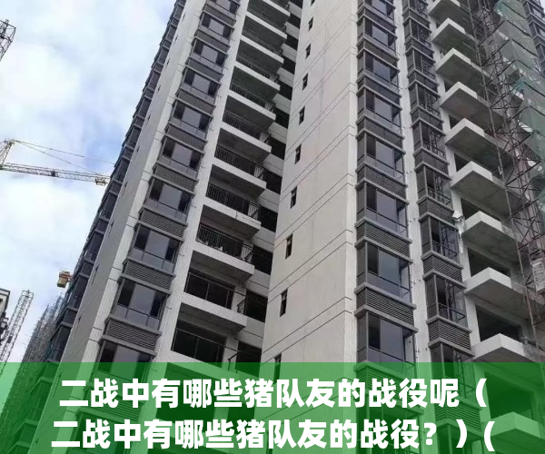 二战中有哪些猪队友的战役呢（二战中有哪些猪队友的战役？）(二战猪队友日本)