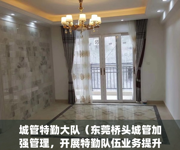 城管特勤大队（东莞桥头城管加强管理，开展特勤队伍业务提升培训）(城管特勤有执法权吗)
