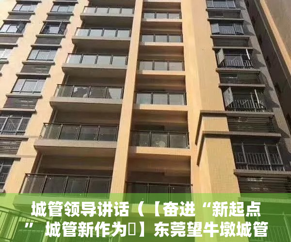 城管领导讲话（【奋进“新起点” 城管新作为㉝】东莞望牛墩城管分局局长冯志平：构建高效治理新格局，为高质量发展提供空间保障）