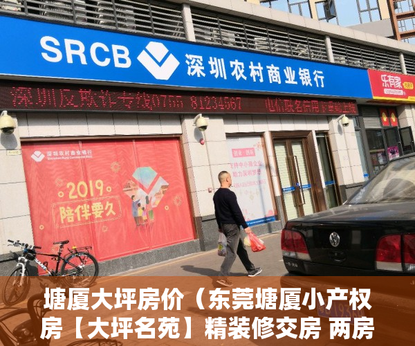 塘厦大坪房价（东莞塘厦小产权房【大坪名苑】精装修交房 两房33万套起）