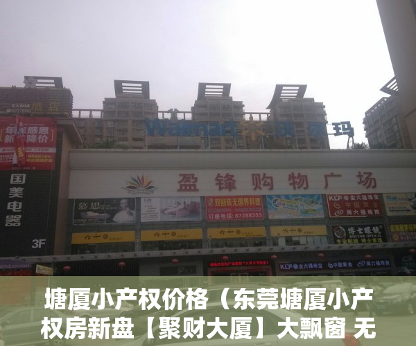 塘厦小产权价格（东莞塘厦小产权房新盘【聚财大厦】大飘窗 无敌采光 均价3580元）
