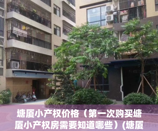 塘厦小产权价格（第一次购买塘厦小产权房需要知道哪些）(塘厦小产权房小区有哪些?)