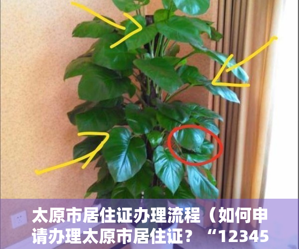 太原市居住证办理流程（如何申请办理太原市居住证？“12345”热线帮解答）