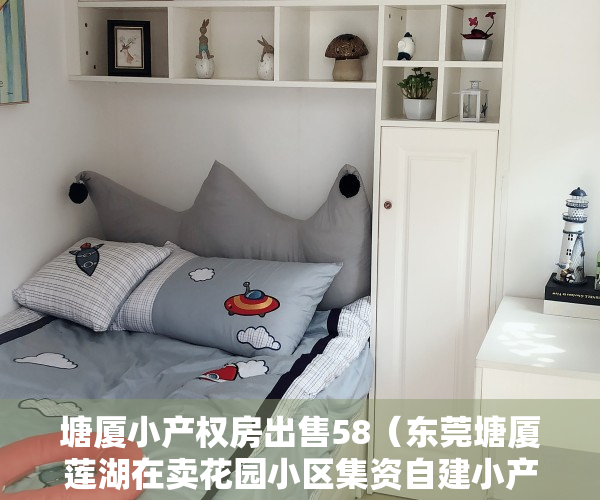 塘厦小产权房出售58（东莞塘厦莲湖在卖花园小区集资自建小产权房新盘出售塘厦天虹商场附近在卖集资自建小产权房出售现房可分期）