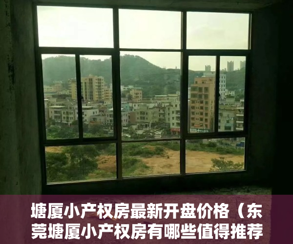 塘厦小产权房最新开盘价格（东莞塘厦小产权房有哪些值得推荐购买？）