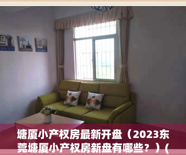 塘厦小产权房最新开盘（2023东莞塘厦小产权房新盘有哪些？）(塘厦小产权房小区有哪些)