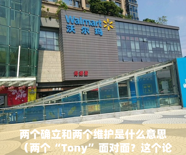 两个确立和两个维护是什么意思（两个“Tony”面对面？这个论坛上，靠谱青年“店小二”分享助企服务故事）