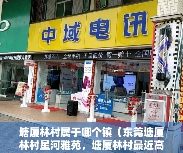 塘厦林村属于哪个镇（东莞塘厦林村星河雅苑，塘厦林村最近高铁站，门口就是大型商场，）