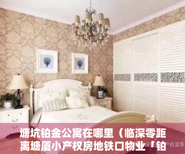 塘坑铂金公寓在哪里（临深零距离塘厦小产权房地铁口物业「铂金华府」）