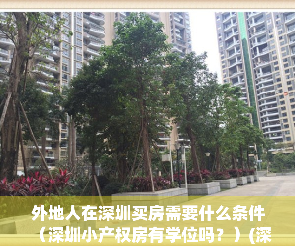外地人在深圳买房需要什么条件（深圳小产权房有学位吗？）(深圳外地人买房条件2021)