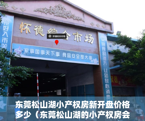 东莞松山湖小产权房新开盘价格多少（东莞松山湖的小产权房会升值吗？）