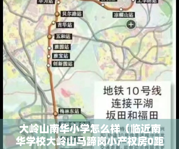 大岭山南华小学怎么样（临近南华学校大岭山马蹄岗小产权房0距离松山湖 带停车场 首付8万起）
