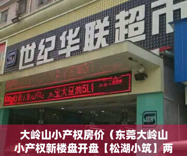 大岭山小产权房价（东莞大岭山小产权新楼盘开盘【松湖小筑】两栋带车位的统建楼，特价三房338万！东莞小产权房能不能买？小产权房可以买吗？村委集资房）
