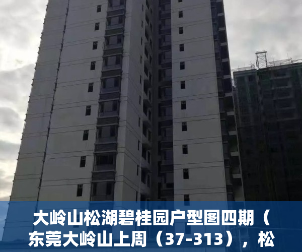 大岭山松湖碧桂园户型图四期（东莞大岭山上周（37-313），松湖碧桂园登大岭山热搜小区榜首）