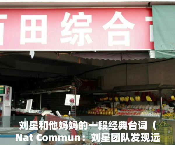 刘星和他妈妈的一段经典台词（Nat Commun：刘星团队发现远期记忆的初始标记和长期存储新机制）