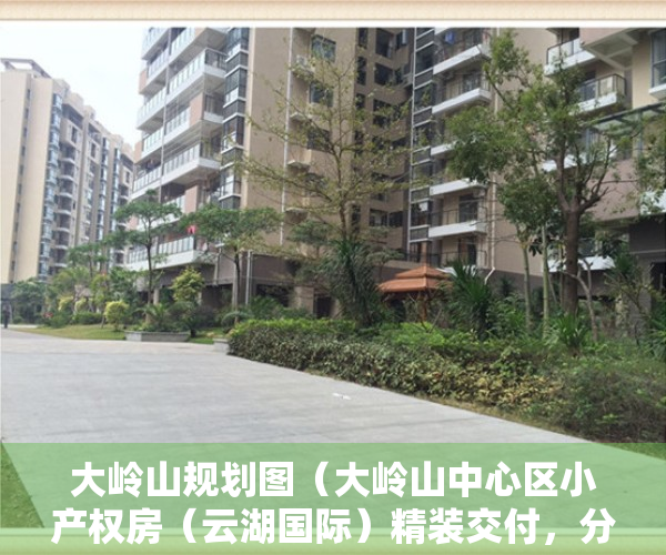 大岭山规划图（大岭山中心区小产权房（云湖国际）精装交付，分期10年（售楼处））