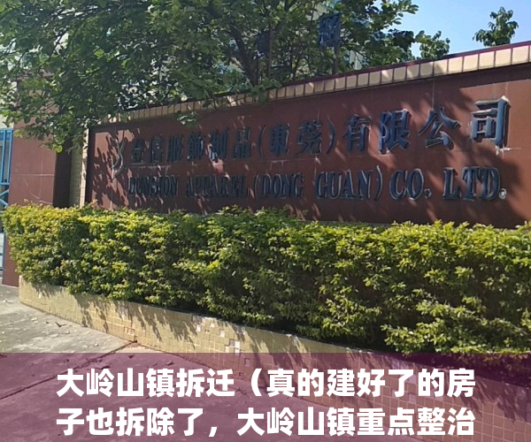 大岭山镇拆迁（真的建好了的房子也拆除了，大岭山镇重点整治“两违”）(2021年大岭山规划建设)
