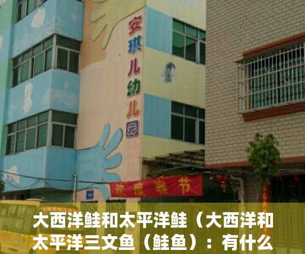 大西洋鲑和太平洋鲑（大西洋和太平洋三文鱼（鲑鱼）：有什么区别？）(大西洋和太平洋鱼类区别)