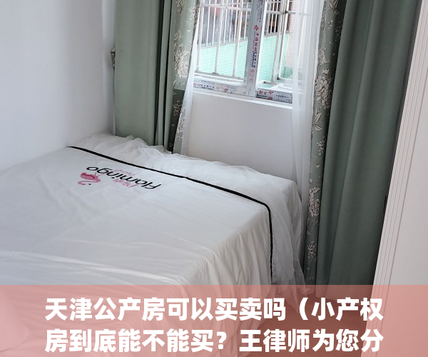 天津公产房可以买卖吗（小产权房到底能不能买？王律师为您分析）(天津的公产房可以买卖吗,好操作吗)
