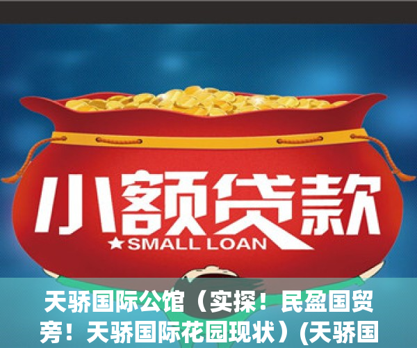 天骄国际公馆（实探！民盈国贸旁！天骄国际花园现状）(天骄国际大厦)