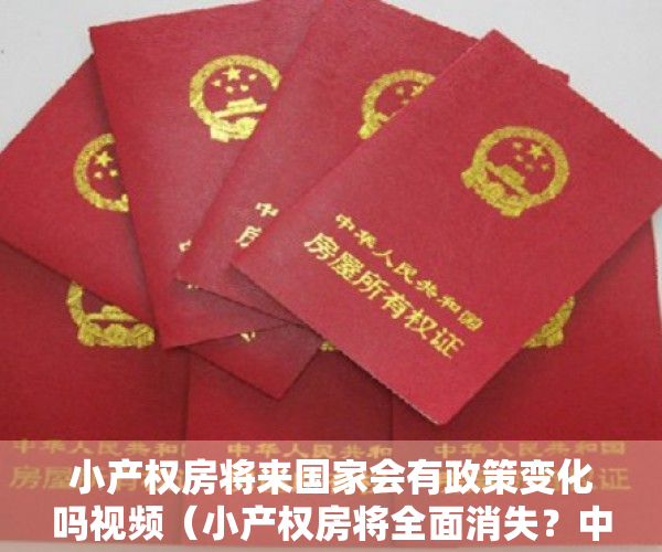 小产权房将来国家会有政策变化吗视频（小产权房将全面消失？中央文件透露信号）