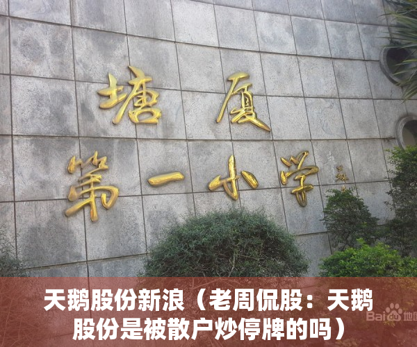 天鹅股份新浪（老周侃股：天鹅股份是被散户炒停牌的吗）