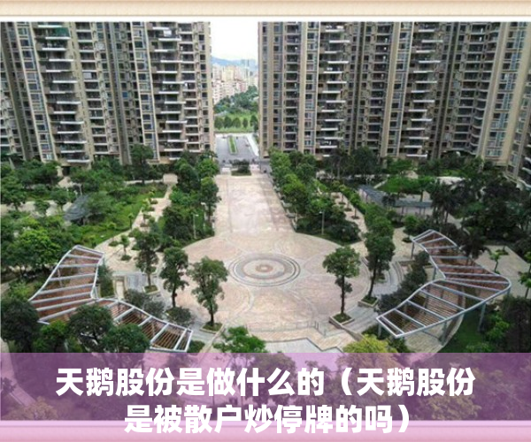 天鹅股份是做什么的（天鹅股份是被散户炒停牌的吗）