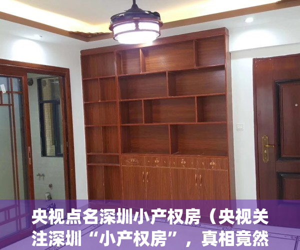 央视点名深圳小产权房（央视关注深圳“小产权房”，真相竟然是这样！）(今日头条深圳小产权房)