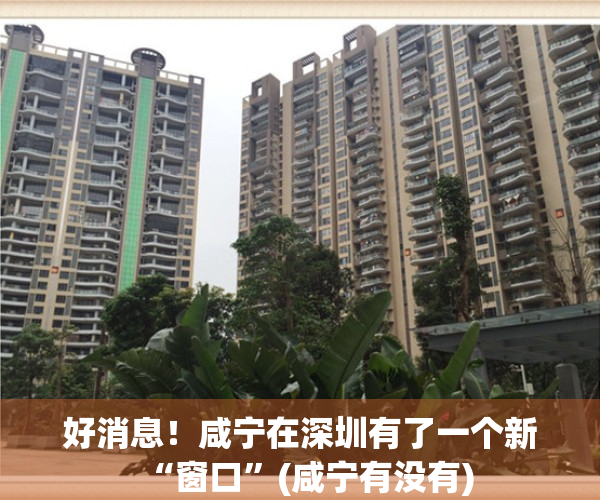 好消息！咸宁在深圳有了一个新“窗口”(咸宁有没有)