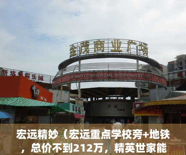 宏远精妙（宏远重点学校旁+地铁，总价不到212万，精英世家能买么？）(宏远精神)