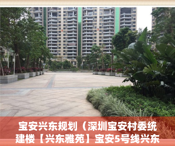 宝安兴东规划（深圳宝安村委统建楼【兴东雅苑】宝安5号线兴东地铁口附近唯一在卖的精装修大红本小产权房 宝安中心区小产权房最近南山西丽的小产权房）